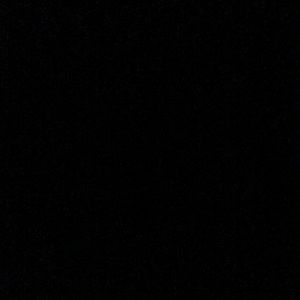 Meet your Posher, Dolly